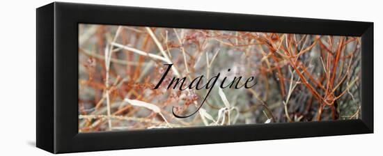 Imagine: Colorful Brush-Nicole Katano-Framed Stretched Canvas