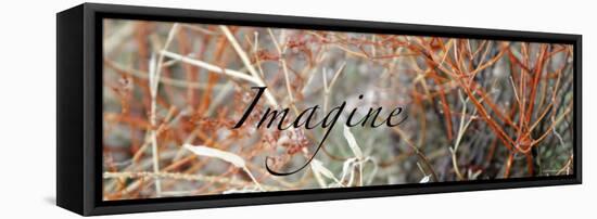 Imagine: Colorful Brush-Nicole Katano-Framed Stretched Canvas