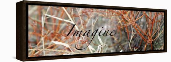 Imagine: Colorful Brush-Nicole Katano-Framed Stretched Canvas