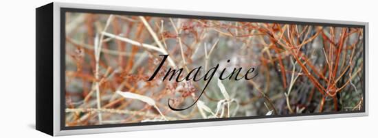 Imagine: Colorful Brush-Nicole Katano-Framed Stretched Canvas