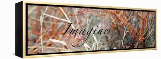 Imagine: Colorful Brush-Nicole Katano-Framed Stretched Canvas