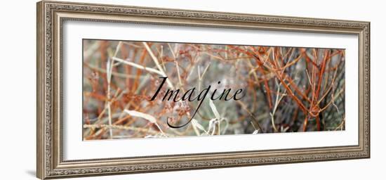 Imagine: Colorful Brush-Nicole Katano-Framed Photo