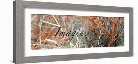 Imagine: Colorful Brush-Nicole Katano-Framed Photo