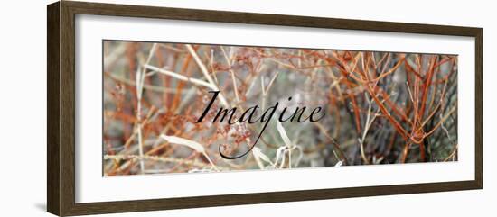 Imagine: Colorful Brush-Nicole Katano-Framed Photo