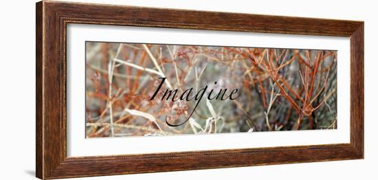 Imagine: Colorful Brush-Nicole Katano-Framed Photo