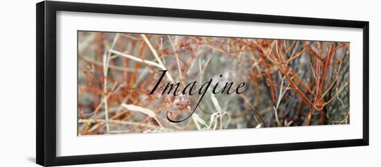 Imagine: Colorful Brush-Nicole Katano-Framed Photo