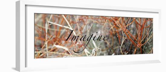 Imagine: Colorful Brush-Nicole Katano-Framed Photo