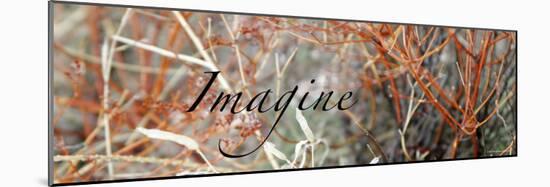 Imagine: Colorful Brush-Nicole Katano-Mounted Photo