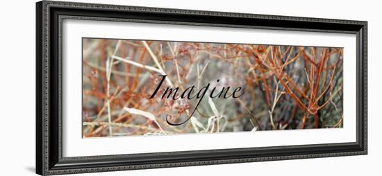 Imagine: Colorful Brush-Nicole Katano-Framed Photo