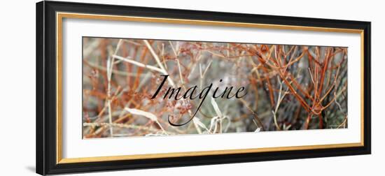 Imagine: Colorful Brush-Nicole Katano-Framed Photo