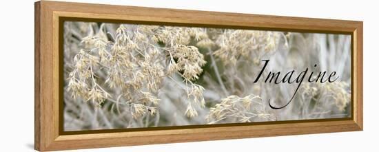 Imagine: Flowering Meadow-Nicole Katano-Framed Stretched Canvas