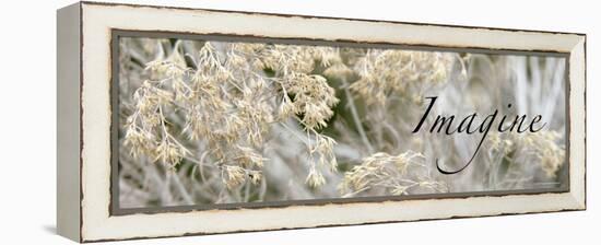 Imagine: Flowering Meadow-Nicole Katano-Framed Stretched Canvas