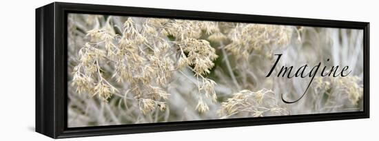 Imagine: Flowering Meadow-Nicole Katano-Framed Stretched Canvas