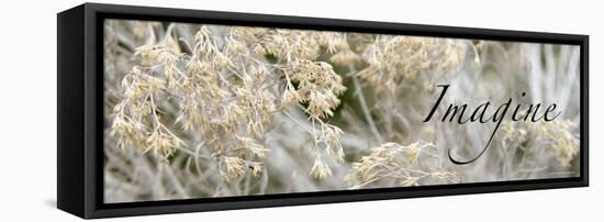 Imagine: Flowering Meadow-Nicole Katano-Framed Stretched Canvas