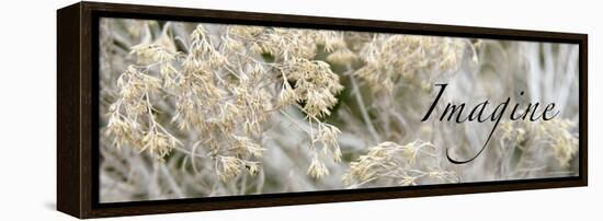 Imagine: Flowering Meadow-Nicole Katano-Framed Stretched Canvas