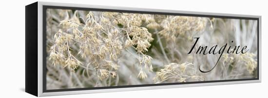 Imagine: Flowering Meadow-Nicole Katano-Framed Stretched Canvas