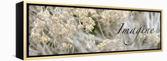 Imagine: Flowering Meadow-Nicole Katano-Framed Stretched Canvas