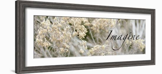 Imagine: Flowering Meadow-Nicole Katano-Framed Photo