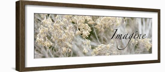 Imagine: Flowering Meadow-Nicole Katano-Framed Photo