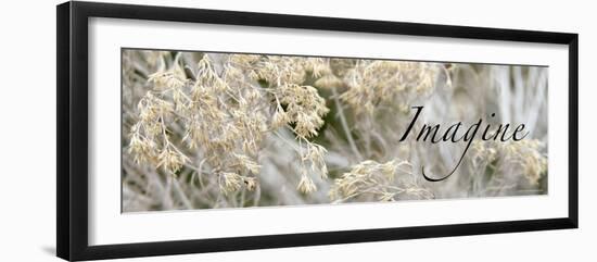 Imagine: Flowering Meadow-Nicole Katano-Framed Photo