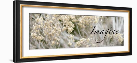 Imagine: Flowering Meadow-Nicole Katano-Framed Photo