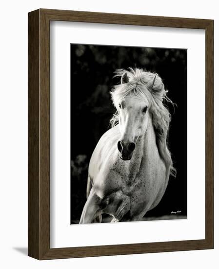 Imagine Me and You-Barry Hart-Framed Art Print