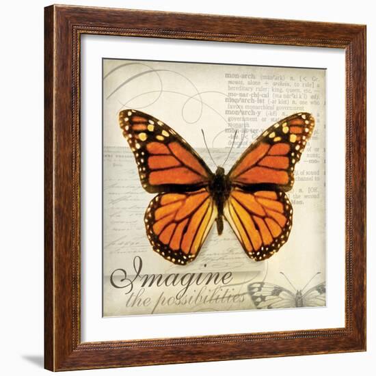 Imagine Possibilites-Amy Melious-Framed Art Print