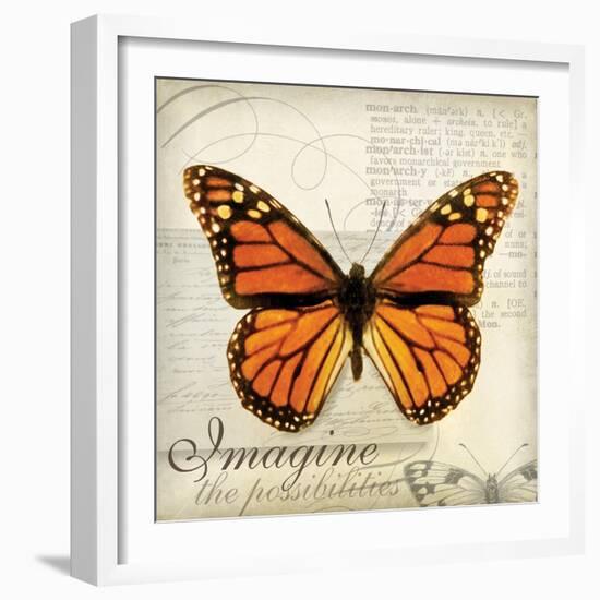 Imagine Possibilites-Amy Melious-Framed Art Print