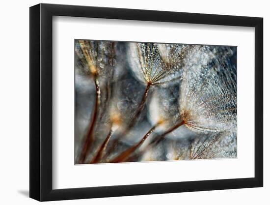 Imagine Seedlings-Ursula Abresch-Framed Photographic Print