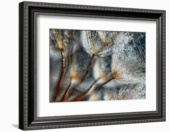 Imagine Seedlings-Ursula Abresch-Framed Photographic Print