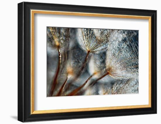 Imagine Seedlings-Ursula Abresch-Framed Photographic Print