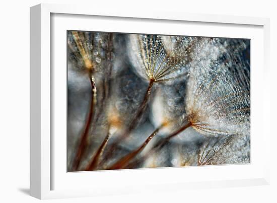 Imagine Seedlings-Ursula Abresch-Framed Photographic Print