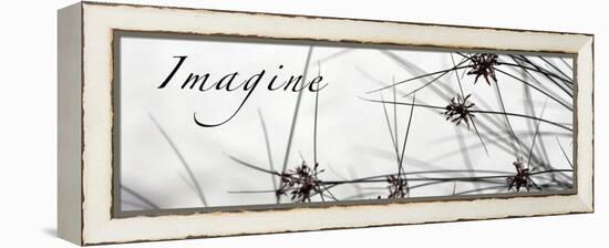 Imagine: Sweet Grass-Nicole Katano-Framed Stretched Canvas