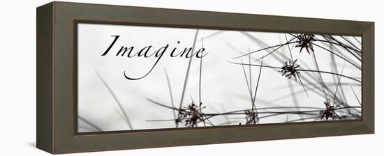 Imagine: Sweet Grass-Nicole Katano-Framed Stretched Canvas