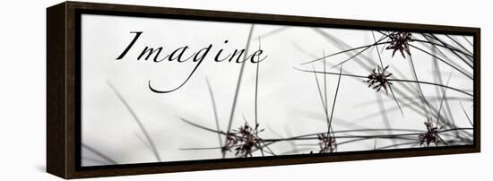 Imagine: Sweet Grass-Nicole Katano-Framed Stretched Canvas