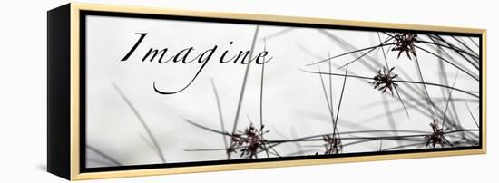 Imagine: Sweet Grass-Nicole Katano-Framed Stretched Canvas