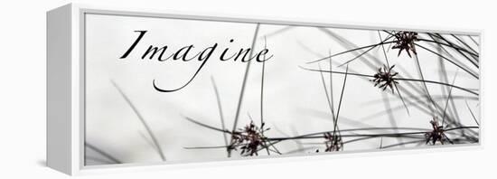 Imagine: Sweet Grass-Nicole Katano-Framed Stretched Canvas