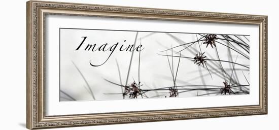 Imagine: Sweet Grass-Nicole Katano-Framed Photo