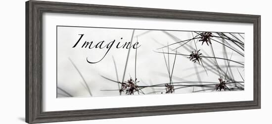 Imagine: Sweet Grass-Nicole Katano-Framed Photo