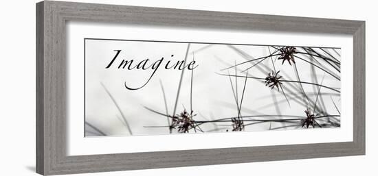 Imagine: Sweet Grass-Nicole Katano-Framed Photo