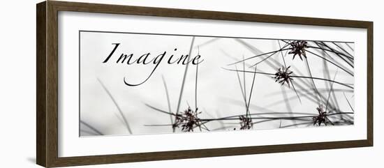 Imagine: Sweet Grass-Nicole Katano-Framed Photo