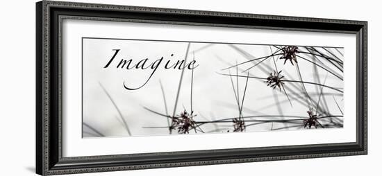 Imagine: Sweet Grass-Nicole Katano-Framed Photo