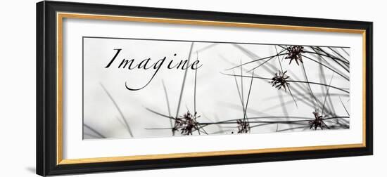 Imagine: Sweet Grass-Nicole Katano-Framed Photo