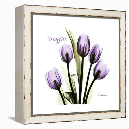 Imagine Tulips-Albert Koetsier-Framed Stretched Canvas