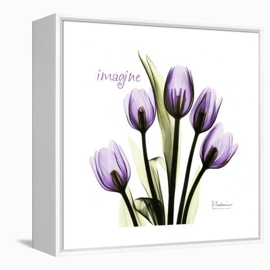 Imagine Tulips-Albert Koetsier-Framed Stretched Canvas