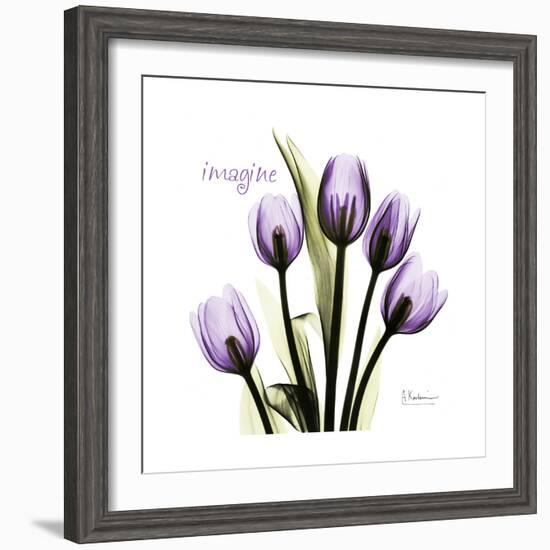 Imagine Tulips-Albert Koetsier-Framed Premium Giclee Print