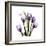 Imagine Tulips-Albert Koetsier-Framed Premium Giclee Print