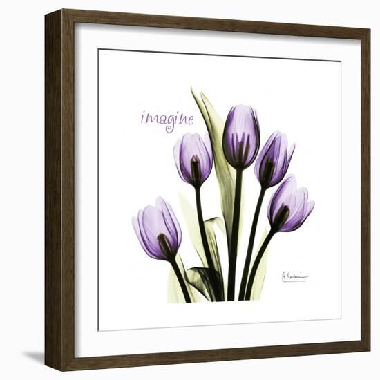 Imagine Tulips-Albert Koetsier-Framed Premium Giclee Print