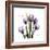 Imagine Tulips-Albert Koetsier-Framed Premium Giclee Print