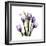 Imagine Tulips-Albert Koetsier-Framed Premium Giclee Print